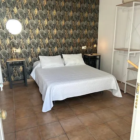 Aloha Guest house San Jose (Almeria)